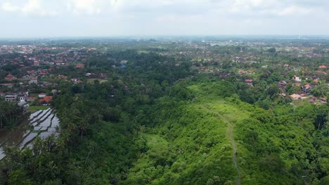 aerial view of campuhan ridge walk in ubud