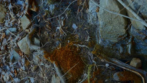 small stream flowing down hillside. vertical video