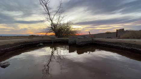 abrevadero en la granja en el desierto