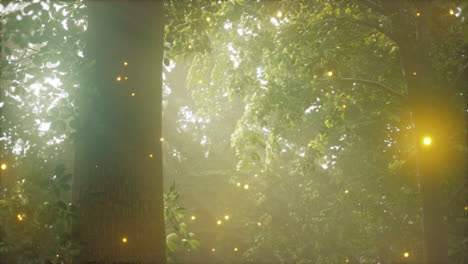 un bosque lleno de muchos árboles cubiertos de luces
