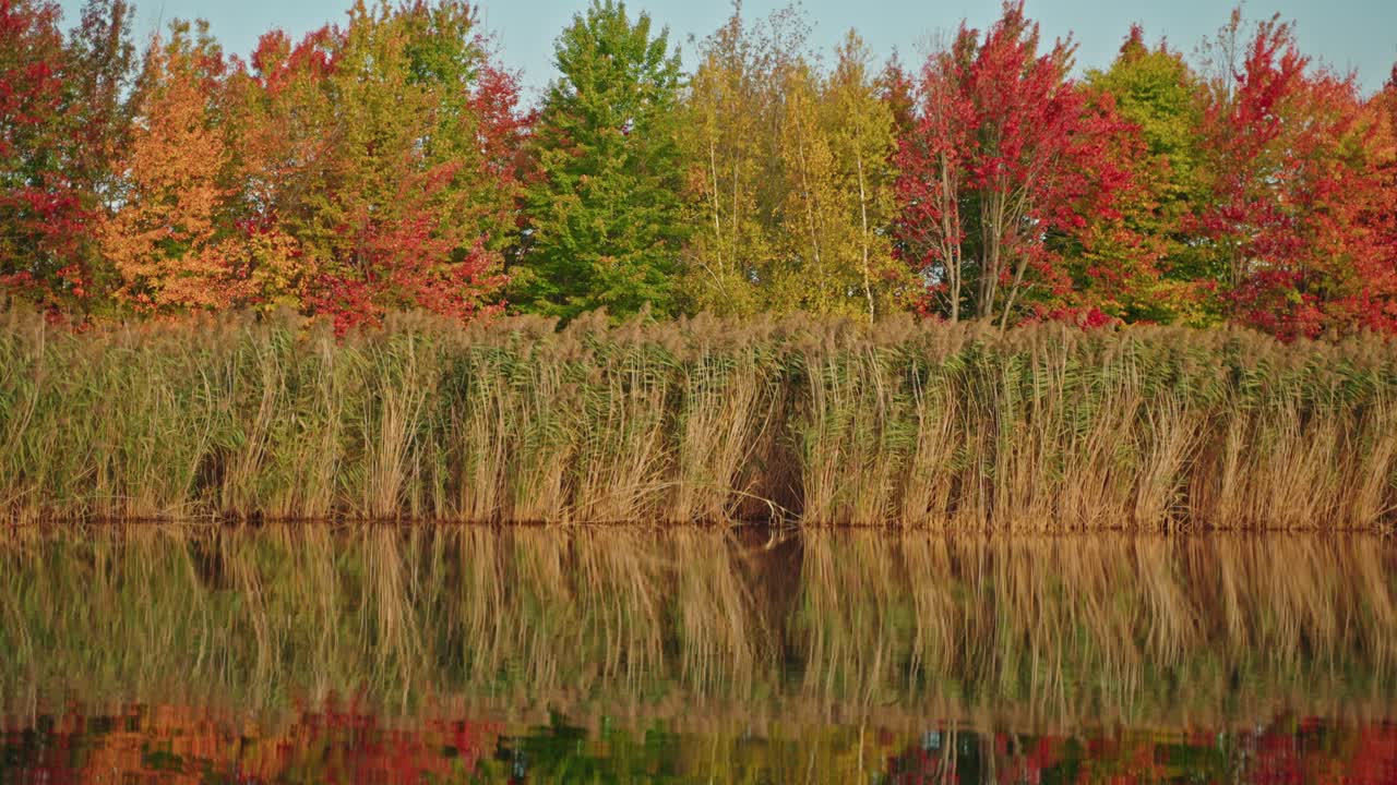 Tranquil autumn landscape reflected on a calm pond, North America, Quebec, Montreal, Canada.