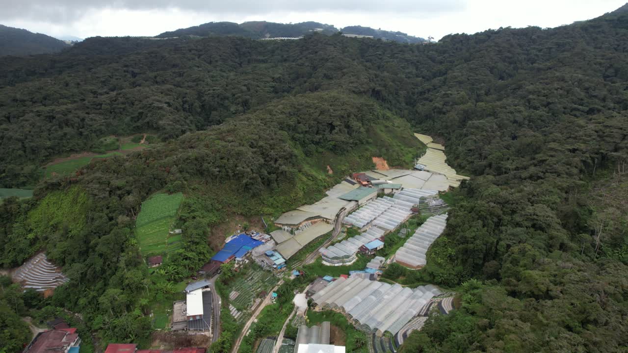 말레이시아의 카메론 하이랜드 지역 내의 브린창 지역의 일반 풍경