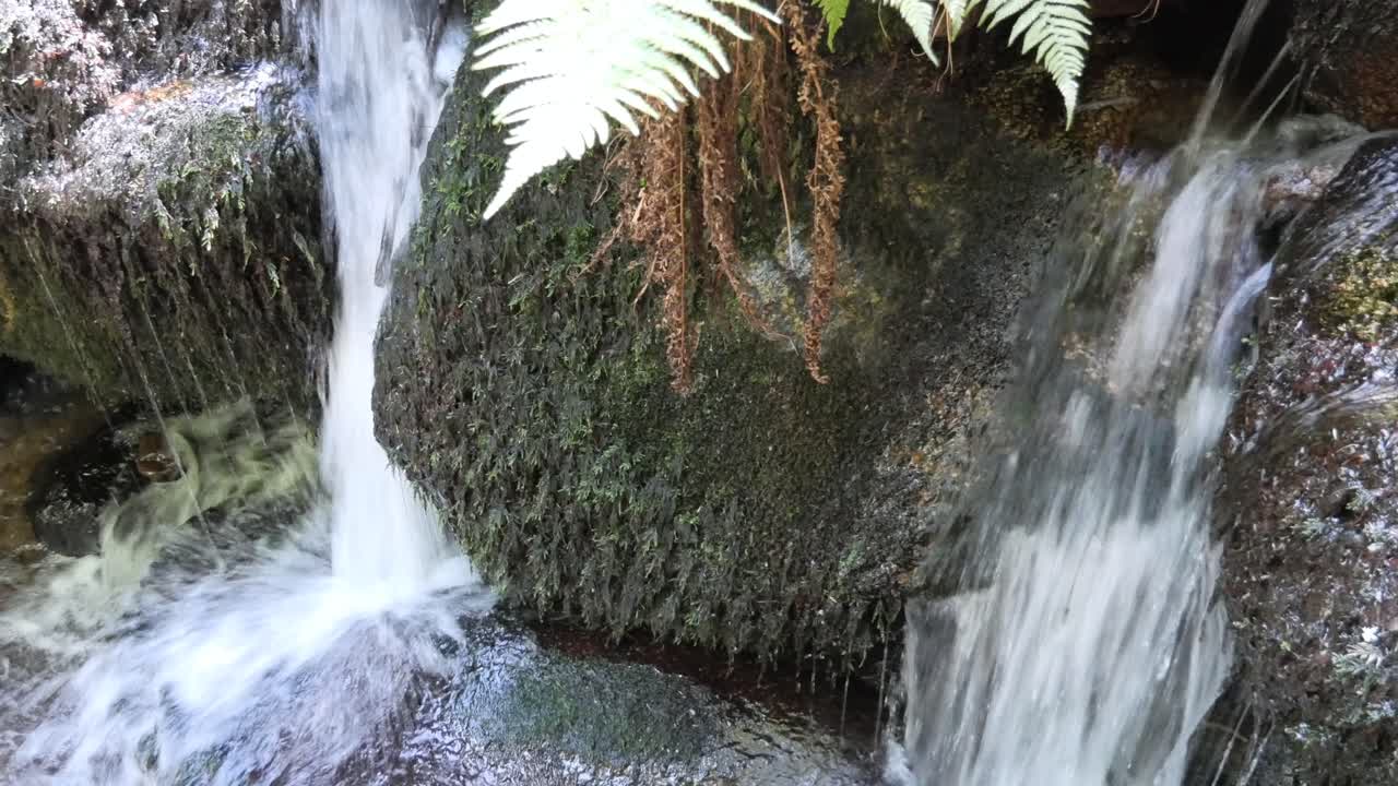 cascadas de gertelbacher en la selva negra, alemania, de cerca