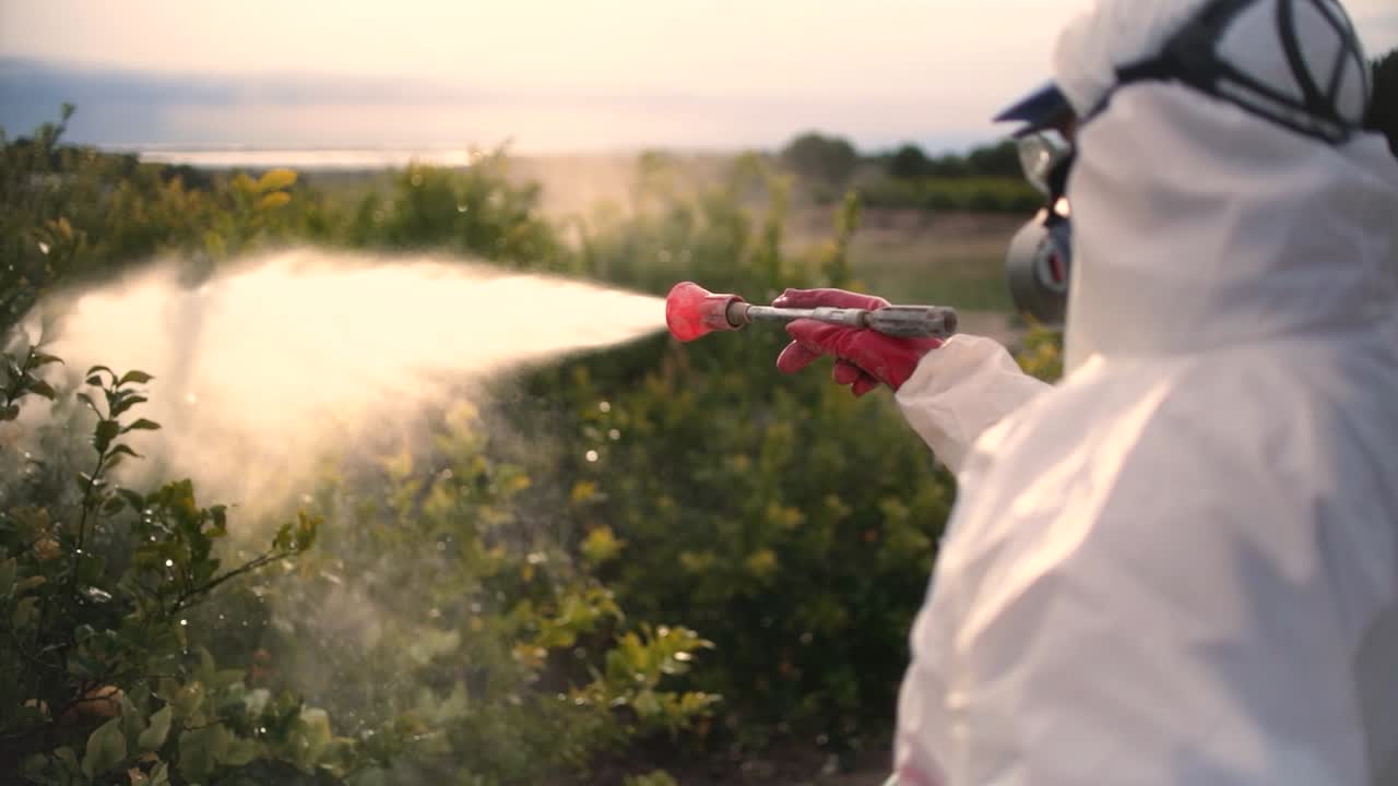 granjero rocíe insecticida, pesticida, pesticidas o insecticidas rociando en limoneros campo agrícola en españa