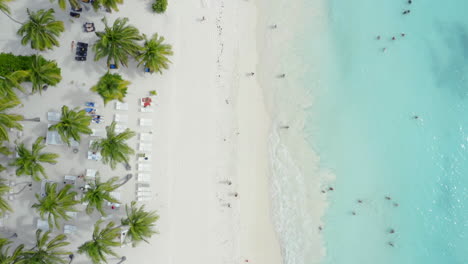 Fotografía-Cenital-De-Personas-En-La-Playa-De-Palmeras-De-Arena-Tropical-En-El-Caribe