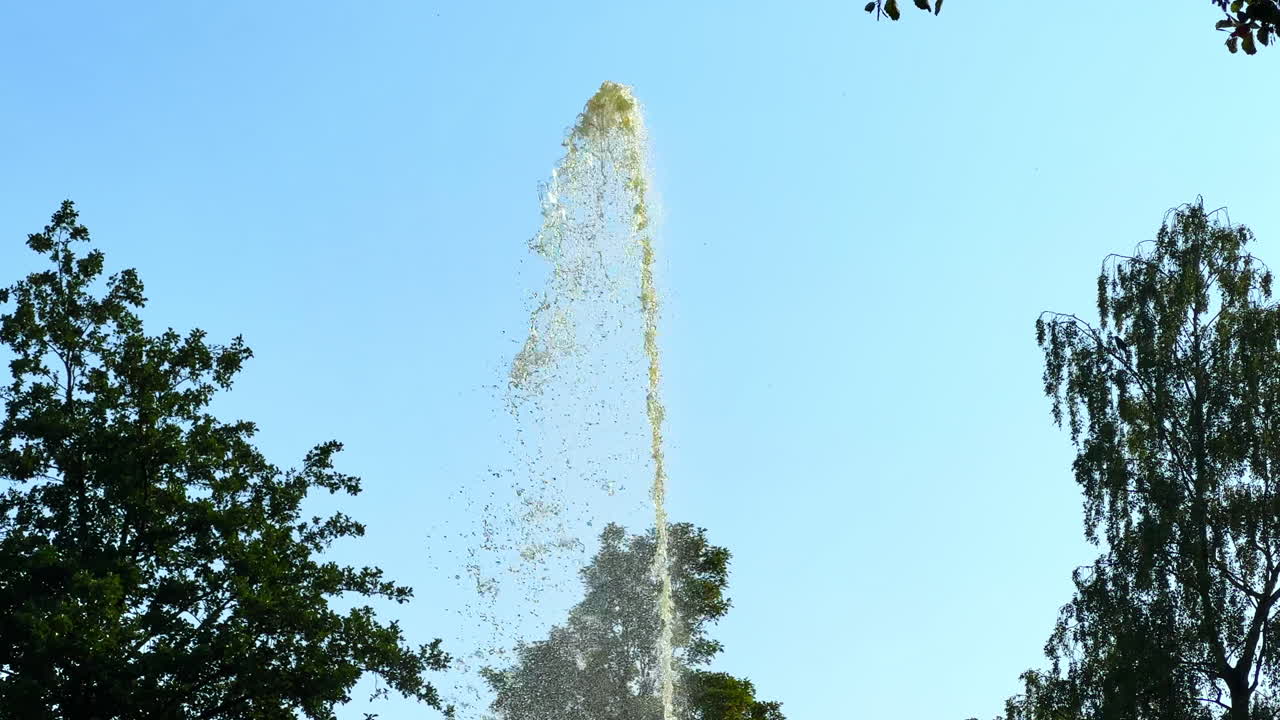 Alta fontana che spruzza acqua in alto nel cielo blu, circondata da alberi verdi lussureggianti in una giornata di sole.