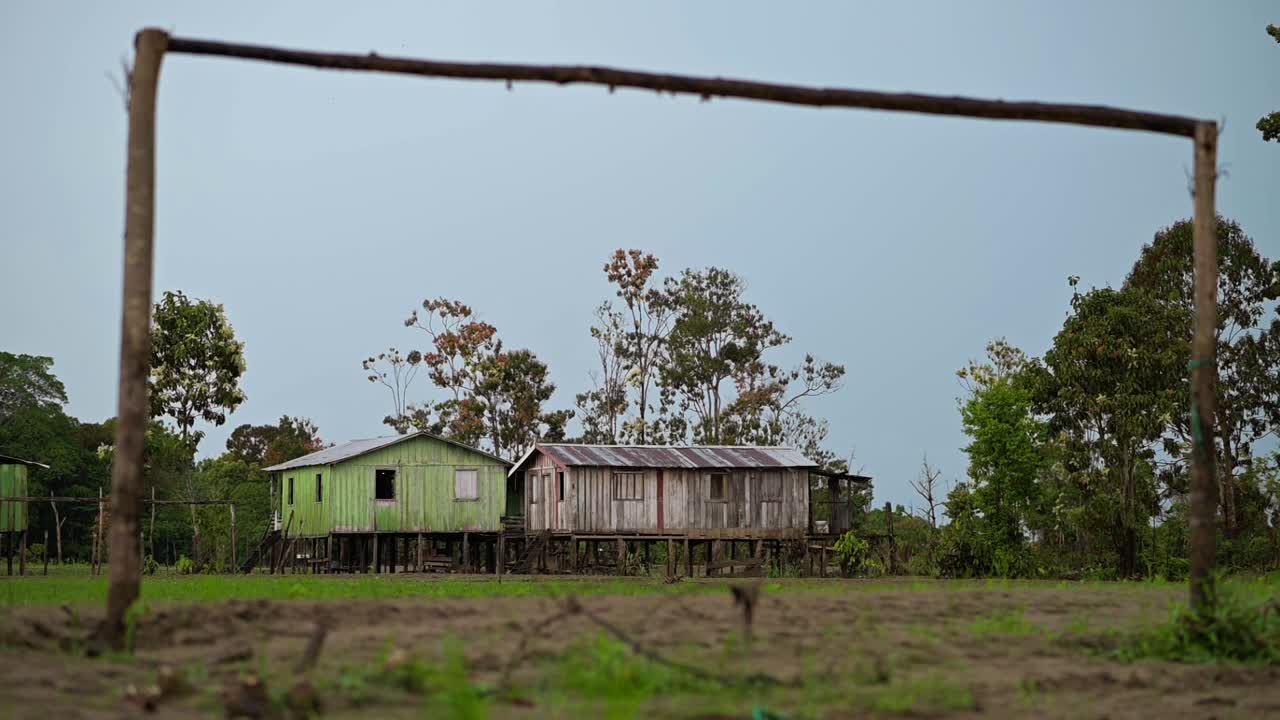 Rural wooden houses surrounded by trees in the Amazon Rainforest, slow-motion shot in Manaus, Brazil