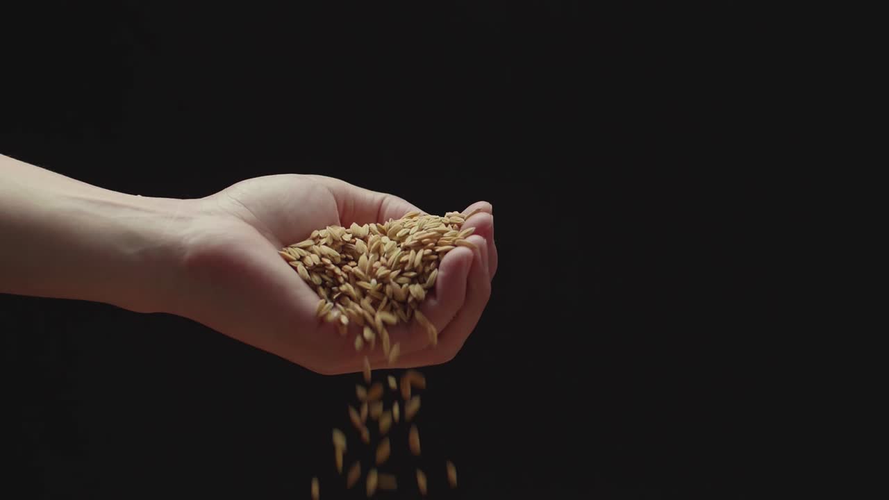 Men Pouring Rice Grains Flies Down In Slow Motion Bouncing Against Camera Black Background