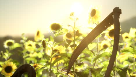 Antiguo-Campo-De-Guadaña-Y-Girasol-De-Estilo-Vintage