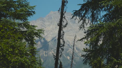 A-stunning-scenery-of-the-mountains-and-forest-of-Yoho-National-Park,-hikinh-in-Canada-on-a-clear-blue-summer-daytime