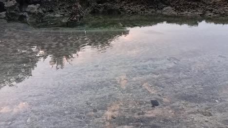 Agua-Clara-Del-Mar-Como-Vídeo-De-Fondo