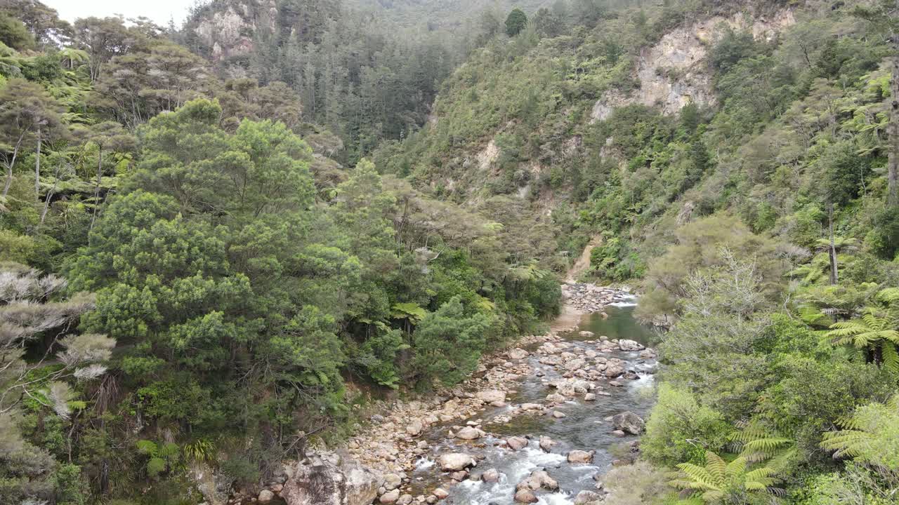 barranco natural en la isla norte de nueva zelanda, ubicado en la península de coromandel