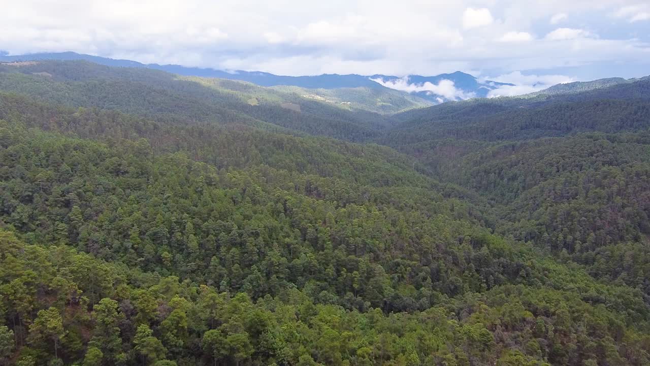 majestuosa vista aérea de aviones no tripulados de las montañas boscosas y las carreteras de oaxaca