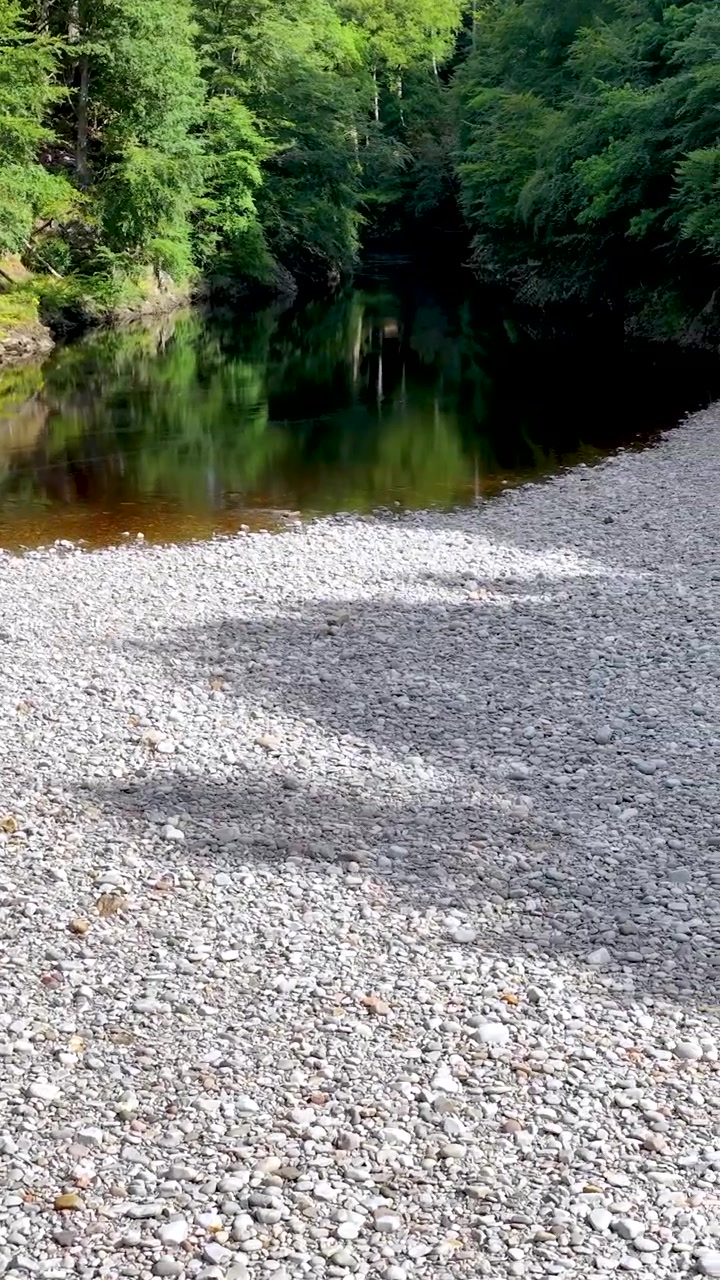 Telecamera aerea scivola sopra un fiume tranquillo, una riva rocciosa e una lussureggiante foresta verde di giorno.