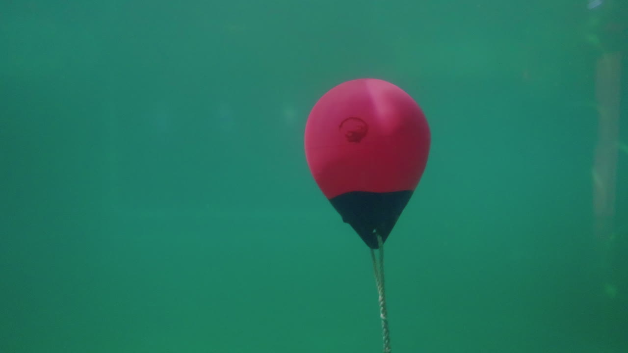 청록색 바닷물 바닥에 떠 있는 빨간 둥근 펜더