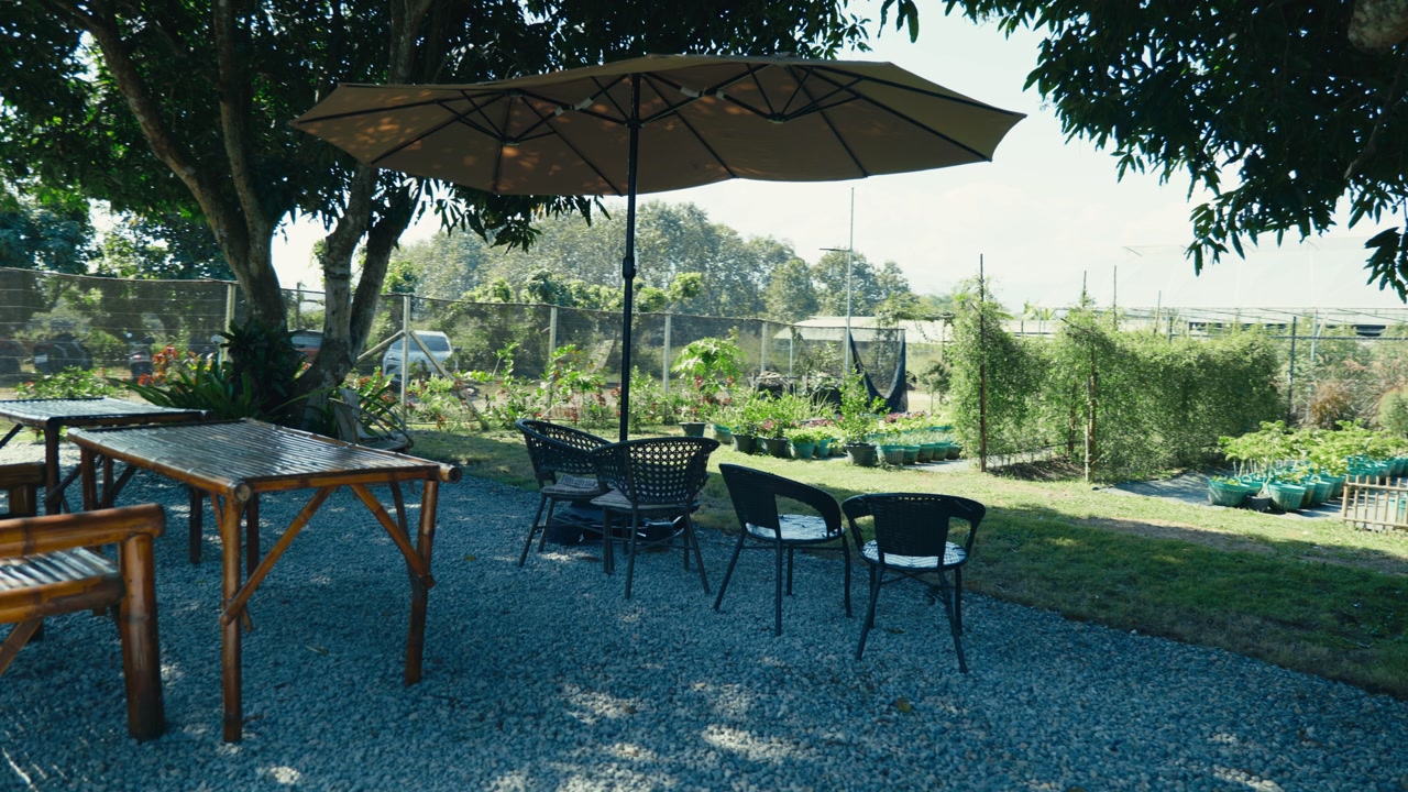 A beautiful garden with a vegetable patch in the countryside of Chiang Mai, Thailand, bathed in warm sunlight on a clear, sunny day.