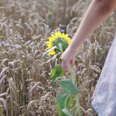 chica soñadora con el campo en el fondo