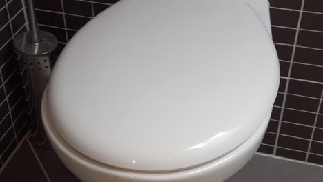 Toilet-bowl,-lavatory-in-modern-bathroom-with-black-and-grey-tiles,-HD-1080p,-closed-lid