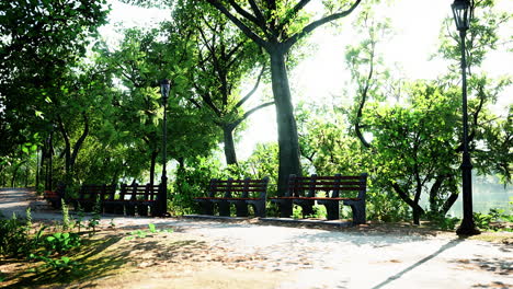 walking street with natural view in public park