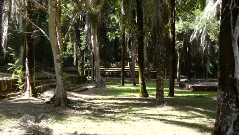 Building-of-the-Eleven-Doors,-pan-to-Twinned-Columns-Building-at-Kohunlich-Mayan-Site---Quintana-Roo,-Mexico