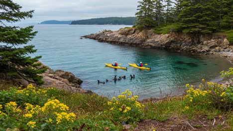 a serene kayaking experience on tranquil waters surrounded by lush greenery and colorful wildflowers, ideal for nature lovers and adventurers alike