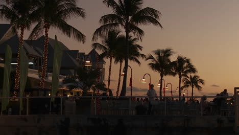 una atractiva toma de un hotel resort tropical bordeado de palmeras al atardecer