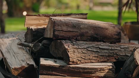 dry cut firewood stacked neatly in natural sunlight