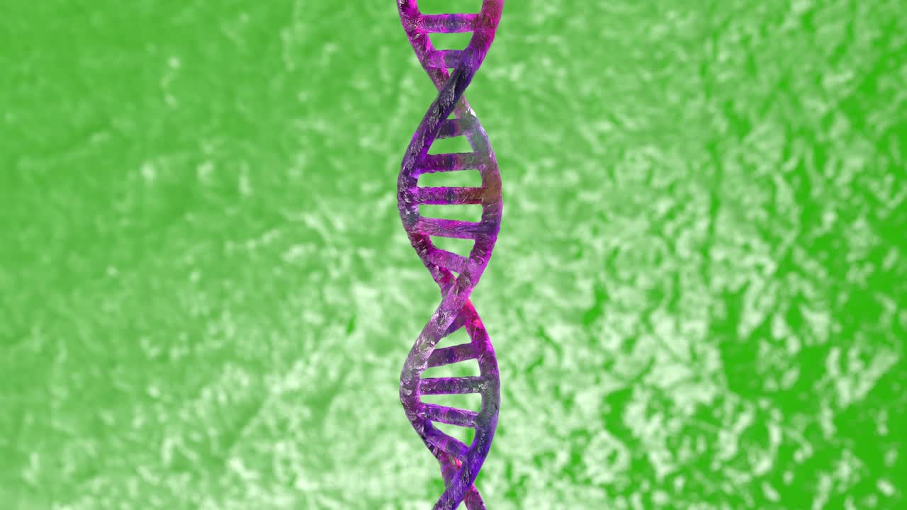 modelo estructural 3d de una doble hélice de adn. rotación en bucle aislada de una molécula de adn con espacio de copia o vacío alrededor para su texto o descripción.