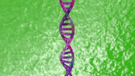 3d structural model of a dna double helix. isolated looped rotation of a dna molecule with copy/empty space around for your text or description.