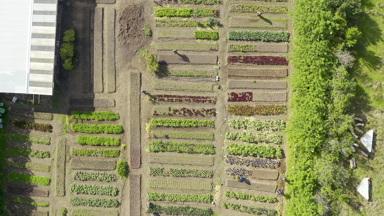 지속가능한 삶의 열 ⁇