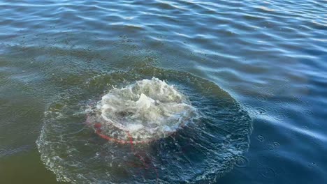 setting a crab pot in gold coast waters