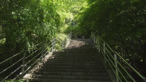 empty steps lined with green trees with sunlight poking through near the top in fujiyoshida