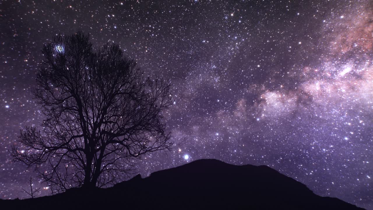 Night Sky with Milky Way and Silhouette Tree