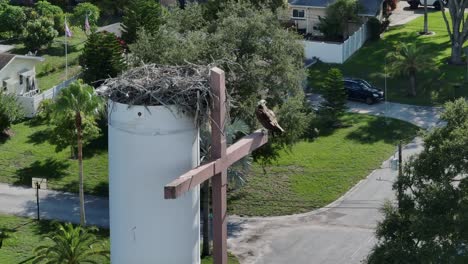 overlooking an osprey perched on a cross high up on a cell tower with a nest on top in a neighborhood