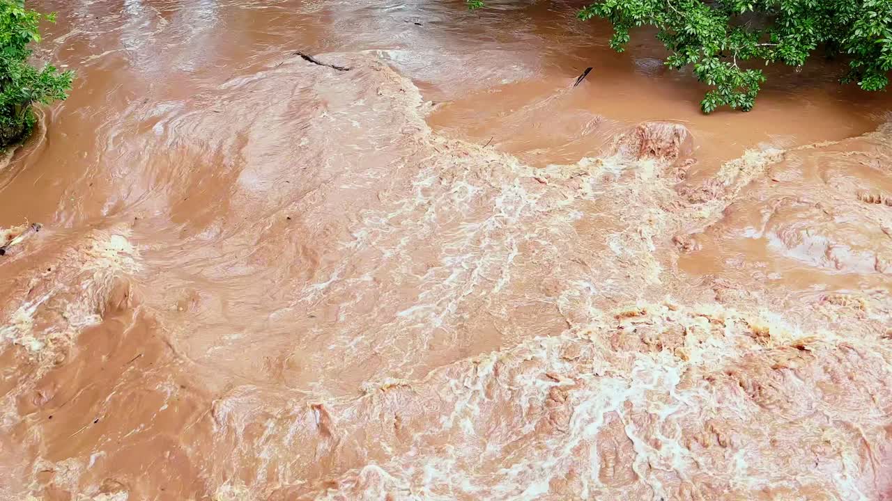 toma de inclinación lenta que revela la orilla del río inundada en el distrito de caimito, provincia de panamá