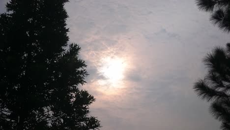 timelapse-of-the-sun-covered-in-clouds-with-trees-in-the-foreground