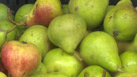 fresh pears