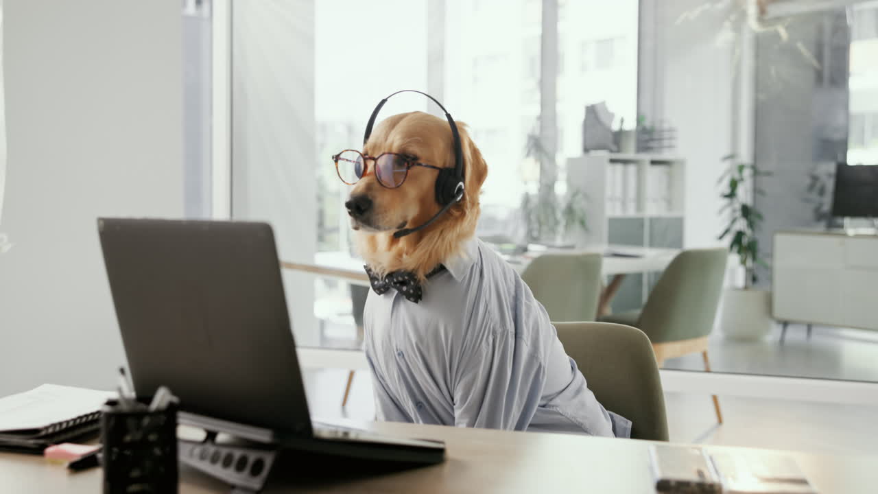 Golden retriever disfrazado de agente de centro de llamadas