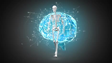 digital animation of human skeleton walking over human brain spinning against black background