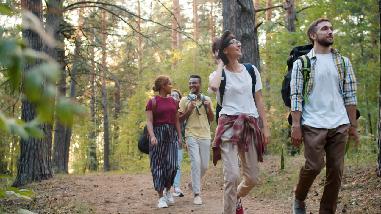 amigos haciendo senderismo en el bosque.