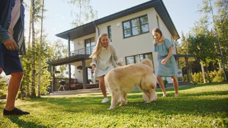 smiling beautiful family of four play soccer with happy golden retriever dog at the backyard lawn. idyllic family having fun with loyal pedigree puppy outdoors in summer house. handheld ground shot