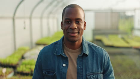 face, happy and farmer black man in a greenhouse
