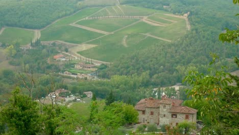 Cinematic-tilt-up-from-lush-olive-trees-in-Radda,-Italy-revealing-the-distant-rural-hills-and-fog-hanging-over-the-village