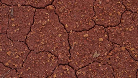 close up texture of red soil that is experiencing dryness, rotating shot