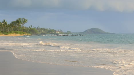 tropical beach scene with waves and palm trees