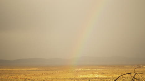 beautiful rainbow over a golden plain of scrubland in colorado