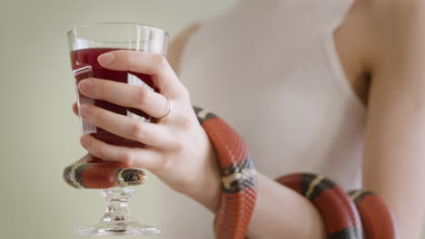 close up of an unrecognizable woman with snake wrapped around her arm holding a red wine glass