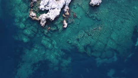 Turquoise-see-through-shallow-water-with-white-limestone-rock-shore,-top-down