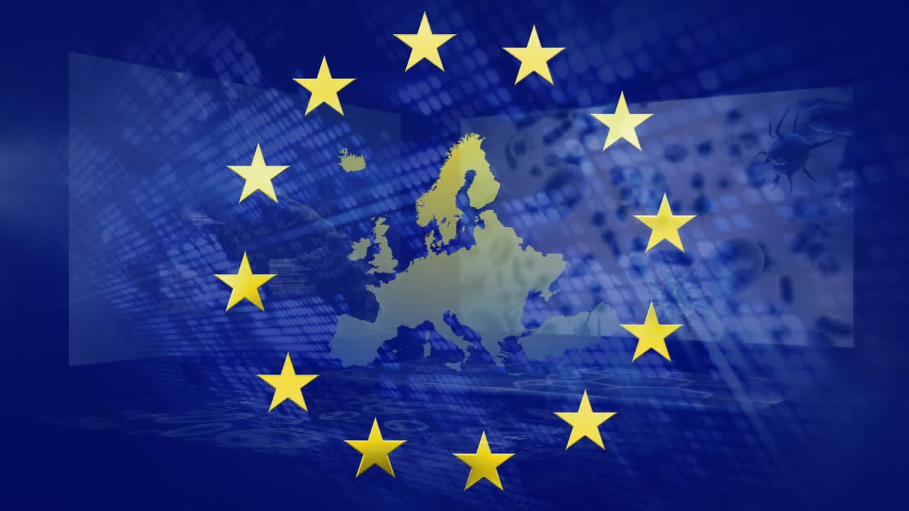 eu  ⁇ 발 위의 데이터 처리의 애니메이션