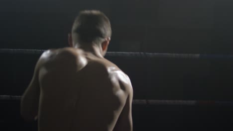 boxer back view in the ring